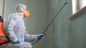 Best Mold Remediation for Healthcare Facilities  in Chattanooga, TN